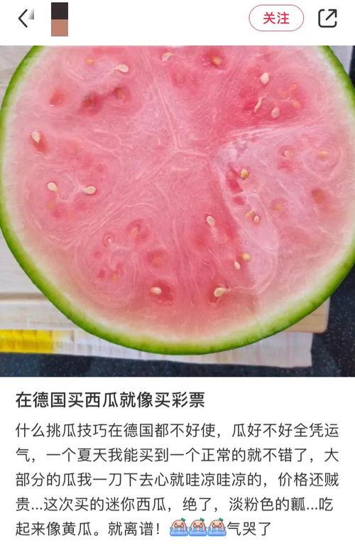国人吃瓜照片,趣味横生的美食文化瞬间