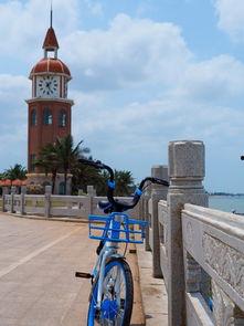 海口网红公路,打卡新晋网红打卡地，感受椰风海韵魅力