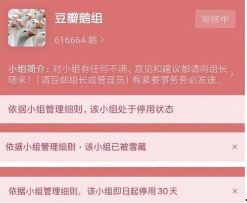 豆瓣吃瓜用哪个软件,揭秘热门话题背后的软件生成秘籍