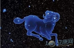 属马的白羊座明星,揭秘属马白羊座明星的魅力人生