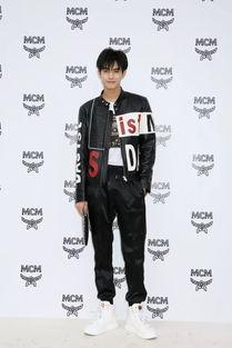 日本明星宋威龙,日本明星的东方魅力与璀璨星途